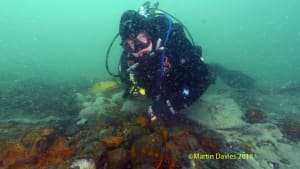FULLY BOOKED: Protected Wreck Days: Invincible wreck & A1 submarine, September II