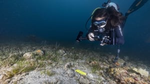 Shipwreck Archaeology in the Dutch Caribbean
