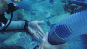 Underwater Archaeology: The NAS Guide