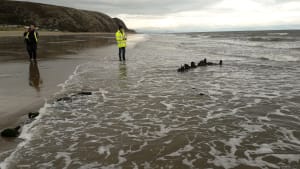 Welsh Wreck Web Research Project